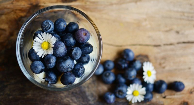 blueberries-2278921_1280 Blaubeeren