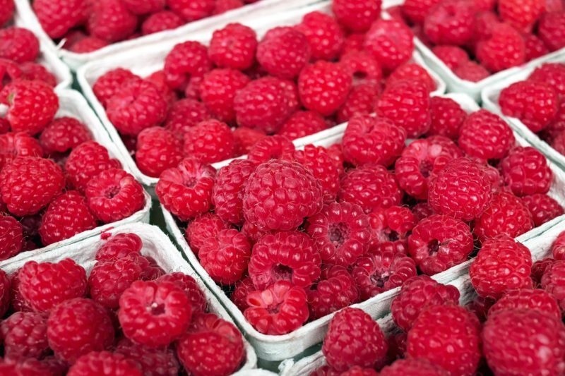 raspberry-1465988_1280 Himbeere