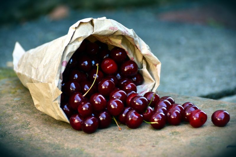 cherries-3522365_1280 kirschen