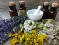 Tinkturen selber machen