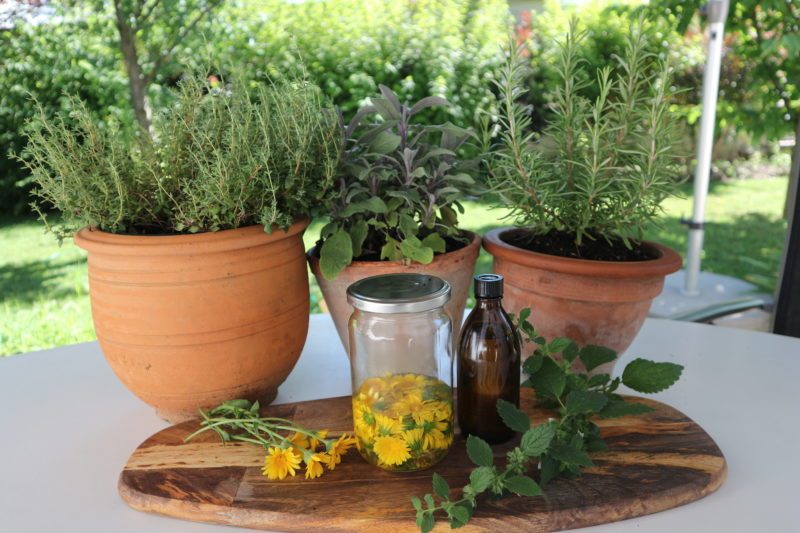 Kräuterölauszug Kräuterölauszug