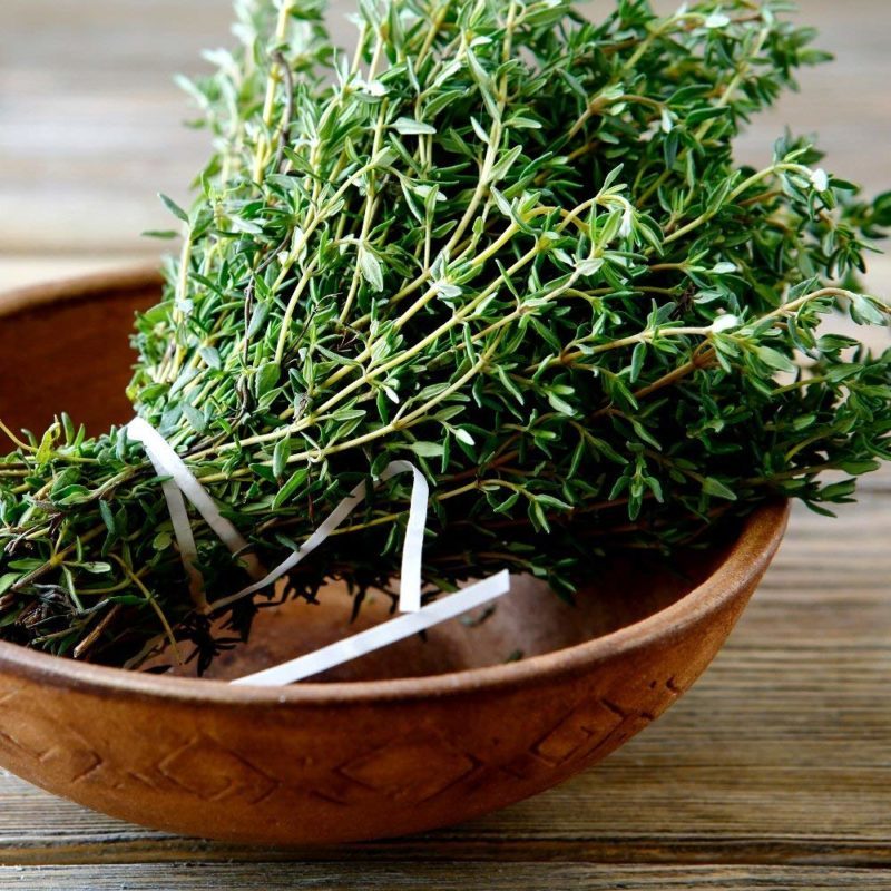 Thymiansamen Thymiansamen