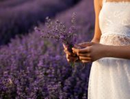 Lavendel – vom Essig bis hin Heilanwendungen