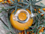 Sanddorn – Heilwirkung und herbstlicher Vitamin C Lieferant
