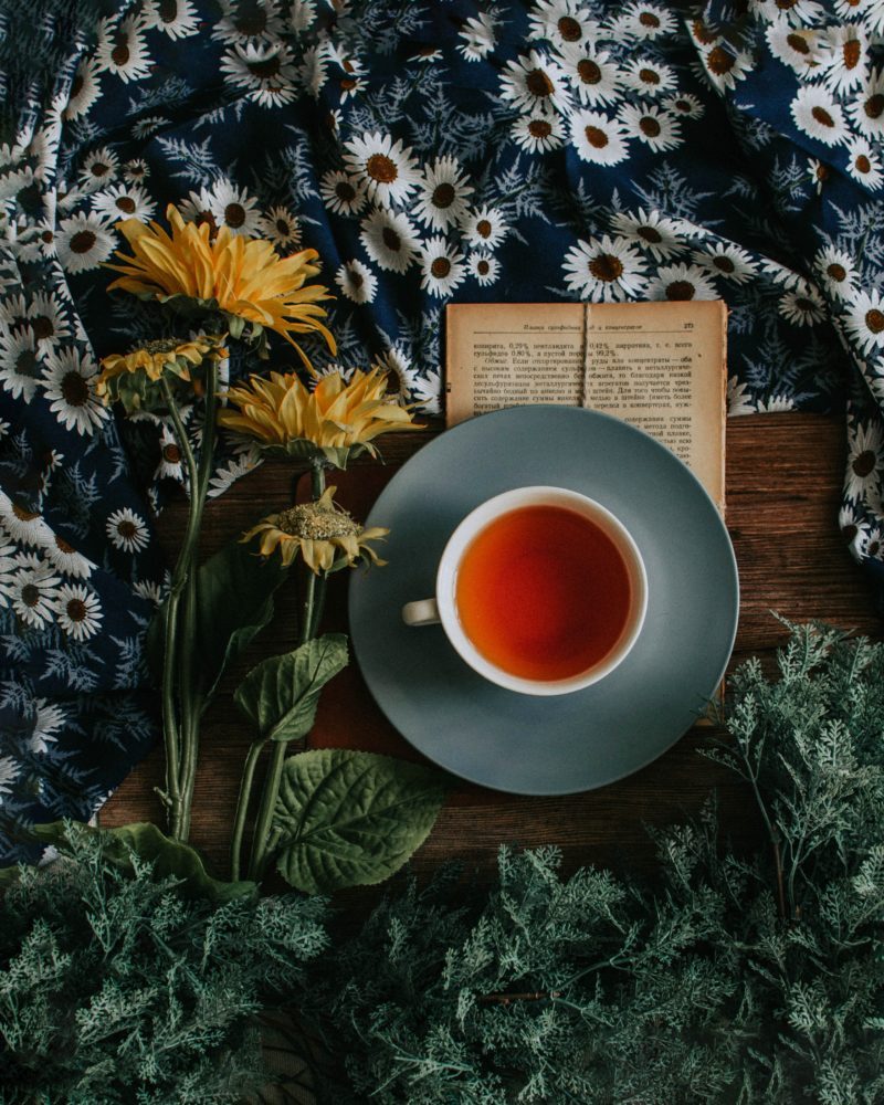 loverna-journey-5kb0HwTHqTg-unsplash Heilfasten