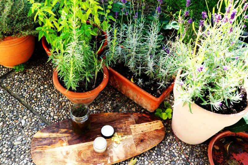 Rosmarinlavendelsalbe Rosmarinlavendelsalbe