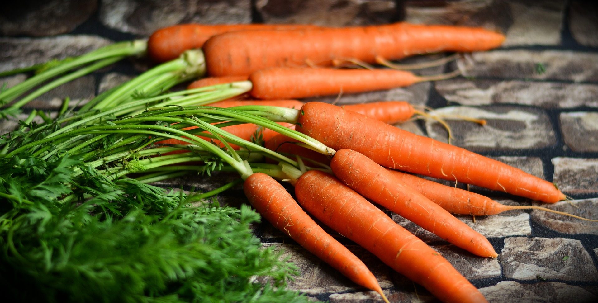Karotten, Möhren und Co tolle Heilrezepte Schnu die Kräuterhexe Karotten, Möhren und Co tolle Heilrezepte Schnu die Kräuterhexe