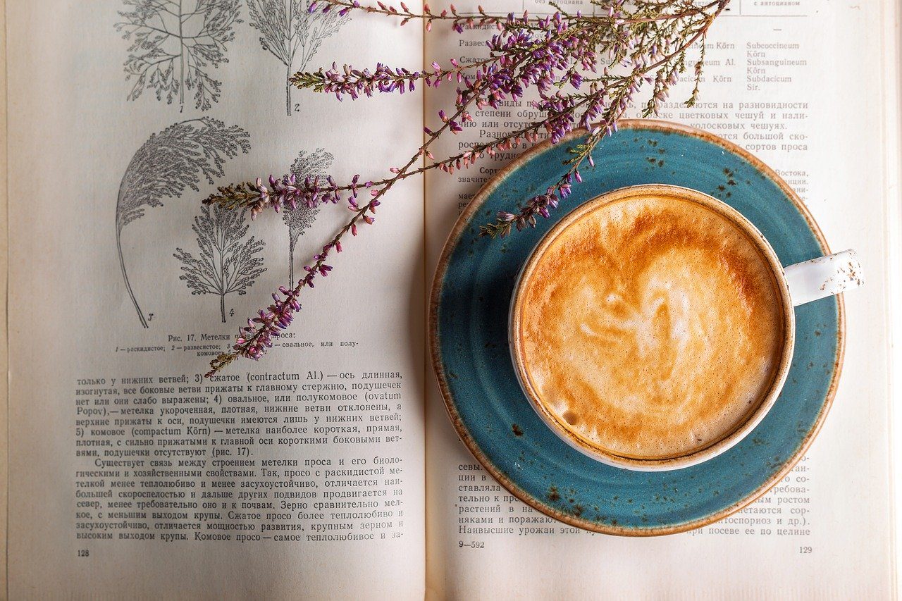 Kaffee Heilwirkung Und Kosmetik Schnu Die Krauterhexe