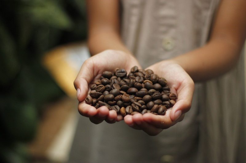 Kaffee Heilwirkung Und Kosmetik Schnu Die Krauterhexe