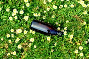 Gänseblümchentinktur