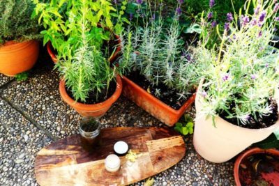 Garten Garten