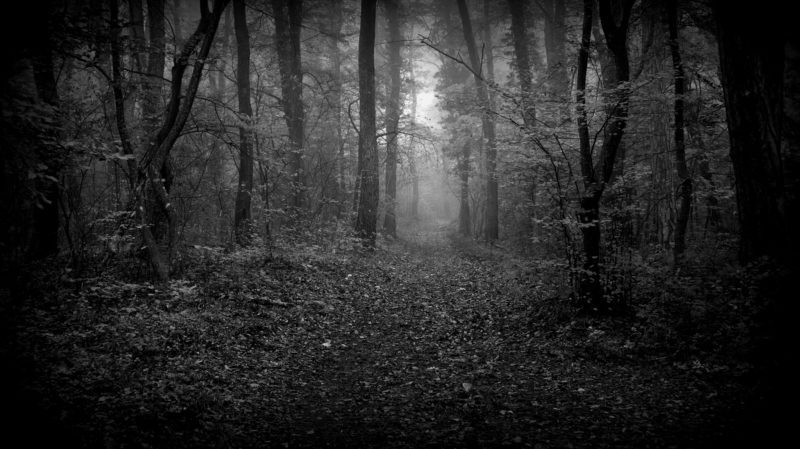 Albtraeume Albtraeume