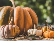 Kürbis – gesund durch den Herbst