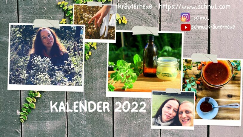 Ins Beet sähen, 2. Ins Beet pflanzen, 3. Im Haus vorziehen Kalender