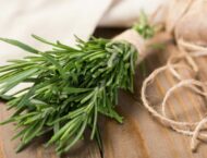 Rosmarin – Anbau, Heilwirkung und Rezepte