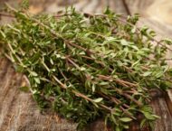 Thymian – Hausmittel für den Winter