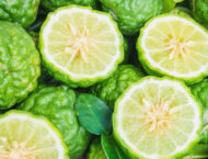 Bergamotte – Wirkung und Rezepte