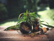 CBD – Cannabidiol Wirkung und Anwendung