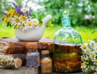 Tinkturen – Die wichtigsten Rezepte für den Herbst