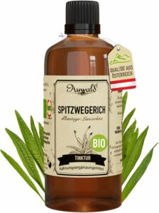 Spitzwegerichtinktur
