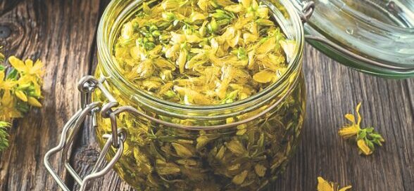 Johanniskraut