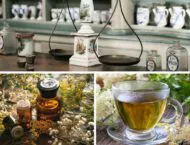 Kräuterreiseapotheke – gesund durch den Urlaub
