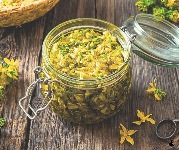 Johanniskraut