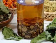 Tinkturen – Die wichtigsten Rezepte für den Herbst
