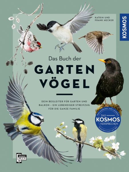 Gartenvögel