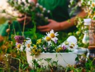 Rezepte für den Juli – 6 Heilkräuterrezepte aus der Sommernatur