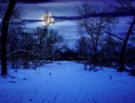 Das Wunschritual der Raunächte Magie der 13 Wünsche