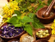 Heilkräuterrezepte für den Februar