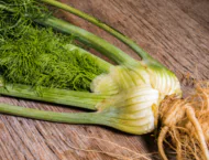 Fenchelsamen im Herbst ernten: 7 Heilrezepte für Bauch, Husten und Wohlbefinden