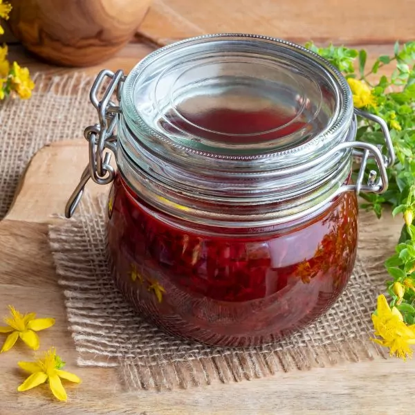 Johanniskraut