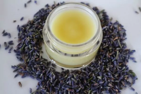 Handsalbe aus Lavendel und Kamille Handsalbe aus Lavendel und Kamille