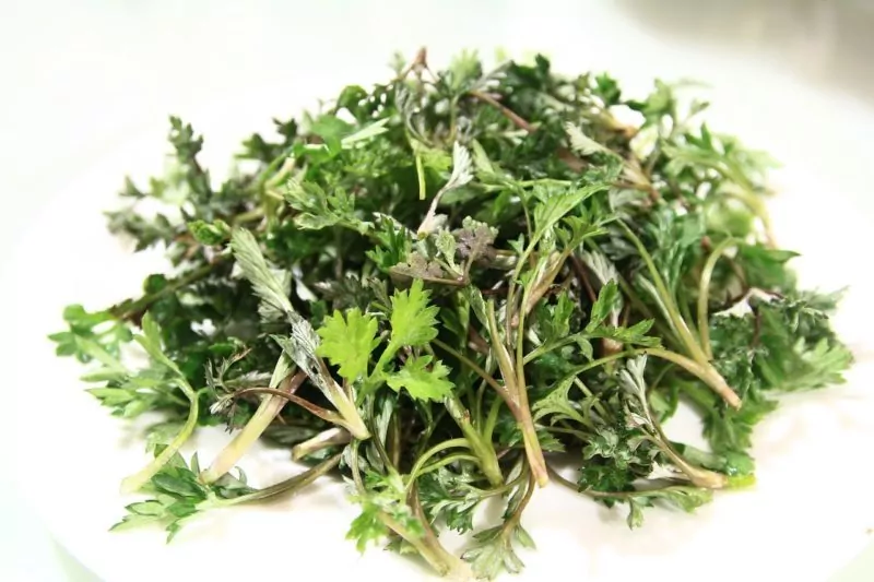 wormwood-1338208_1280 Wermut